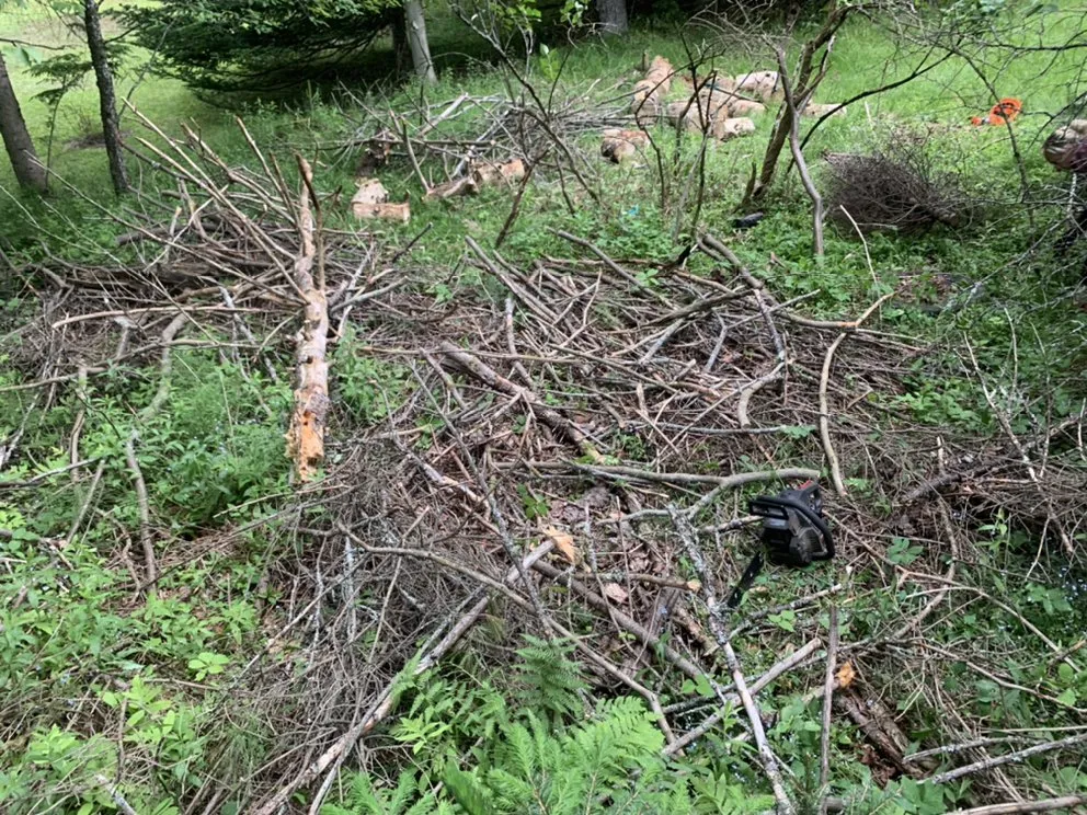 Expert lawn mowing service for outdoor upgrades in Bloomingdale, NY by BLKB landscaping and property maintenance