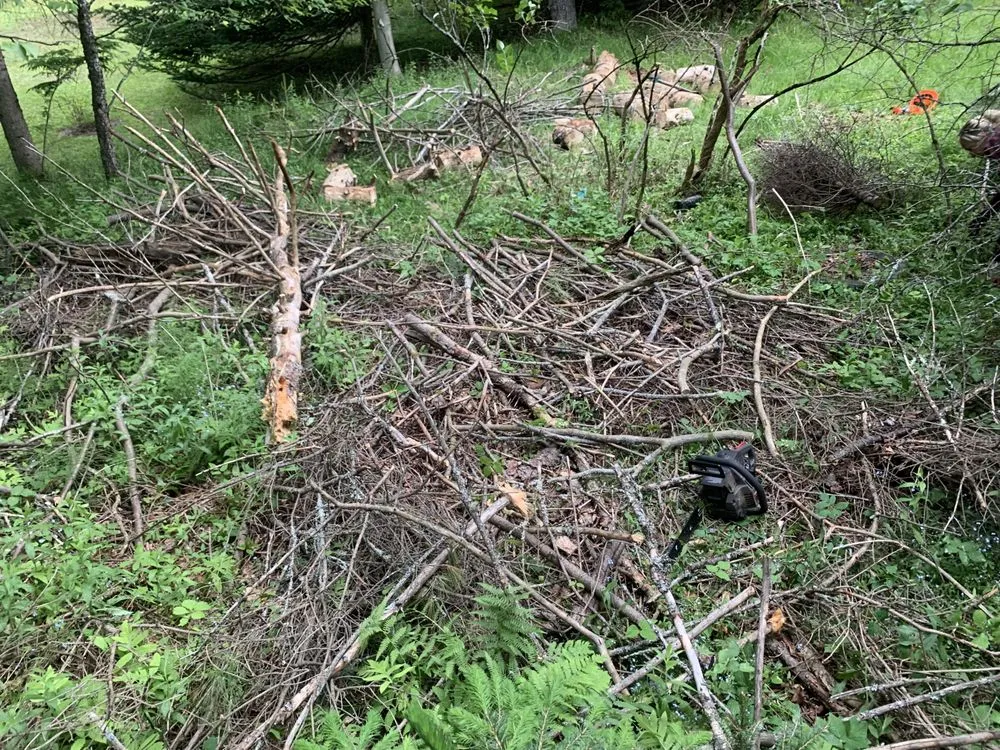 Affordable garden landscaping in Bloomingdale, NY by BLKB landscaping and property maintenance