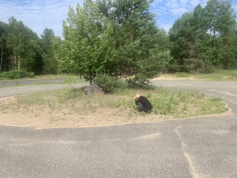 Local lawn mowing service for outdoor upgrades across Bloomingdale, NY - BLKB landscaping and property maintenance