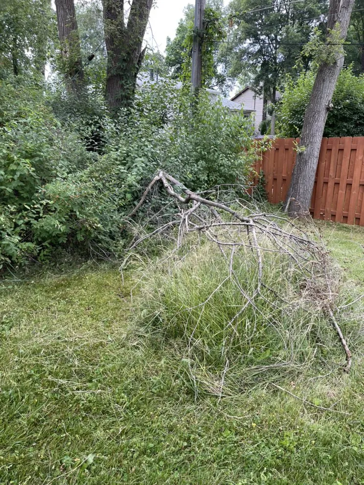 Expert landscape installation in Round Lake, IL by BLLCA Landscaping