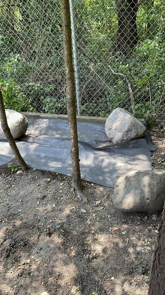 Affordable landscape design in Round Lake, IL by BLLCA Landscaping