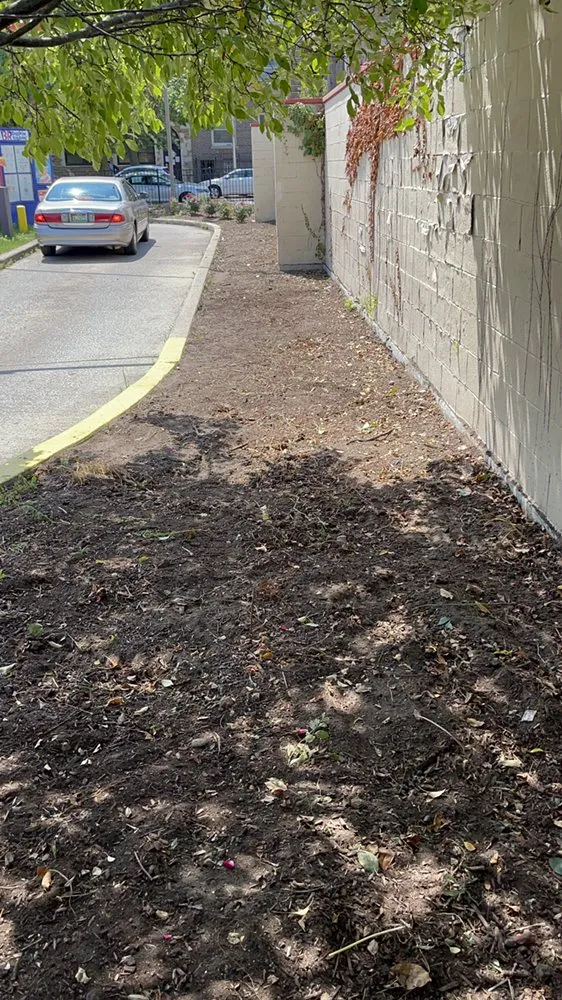 Top-rated yard maintenance in Round Lake, IL by BLLCA Landscaping