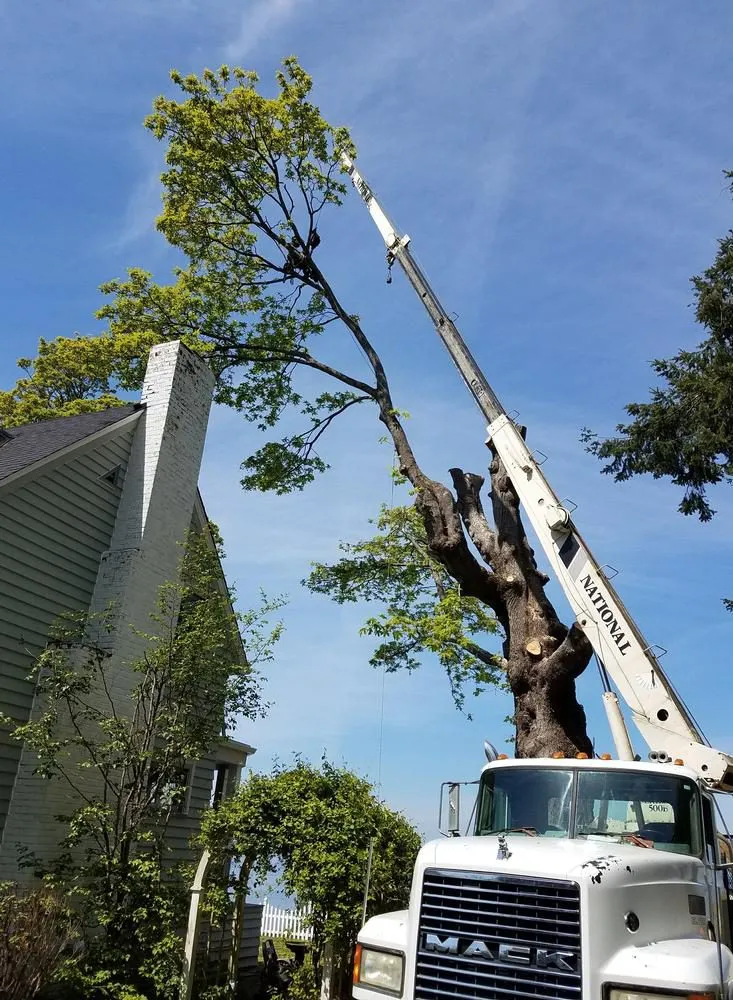 Custom lawn care service experts serving Charlotte, NC - Bloc Contracting