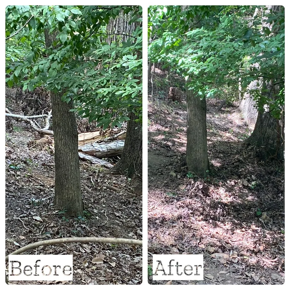 Expert residential landscaping near you across Charlotte, NC - Bloc Contracting