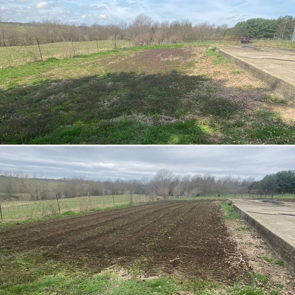 Affordable yard cleanup service near you across Decatur, IL - Bloch Contracting