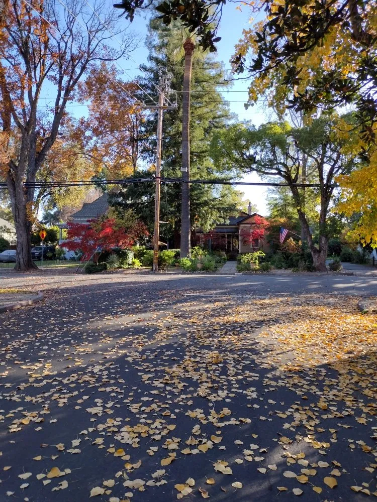 Trusted garden landscaping for outdoor upgrades across Vacaville, CA - Block Appeal