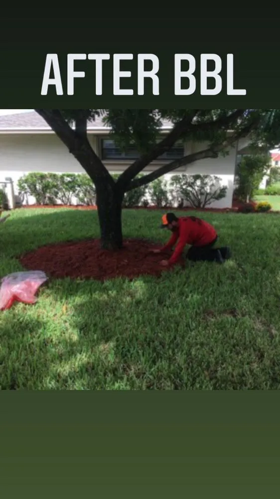 Reliable landscape design experts serving West Palm Beach, FL - Block Barbers Lawn Service