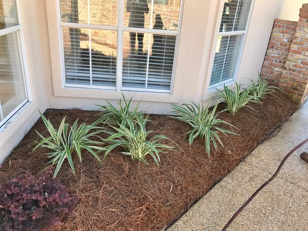 Local outdoor landscaping in Greenwell Springs, LA by Blocker Tree & Landscape