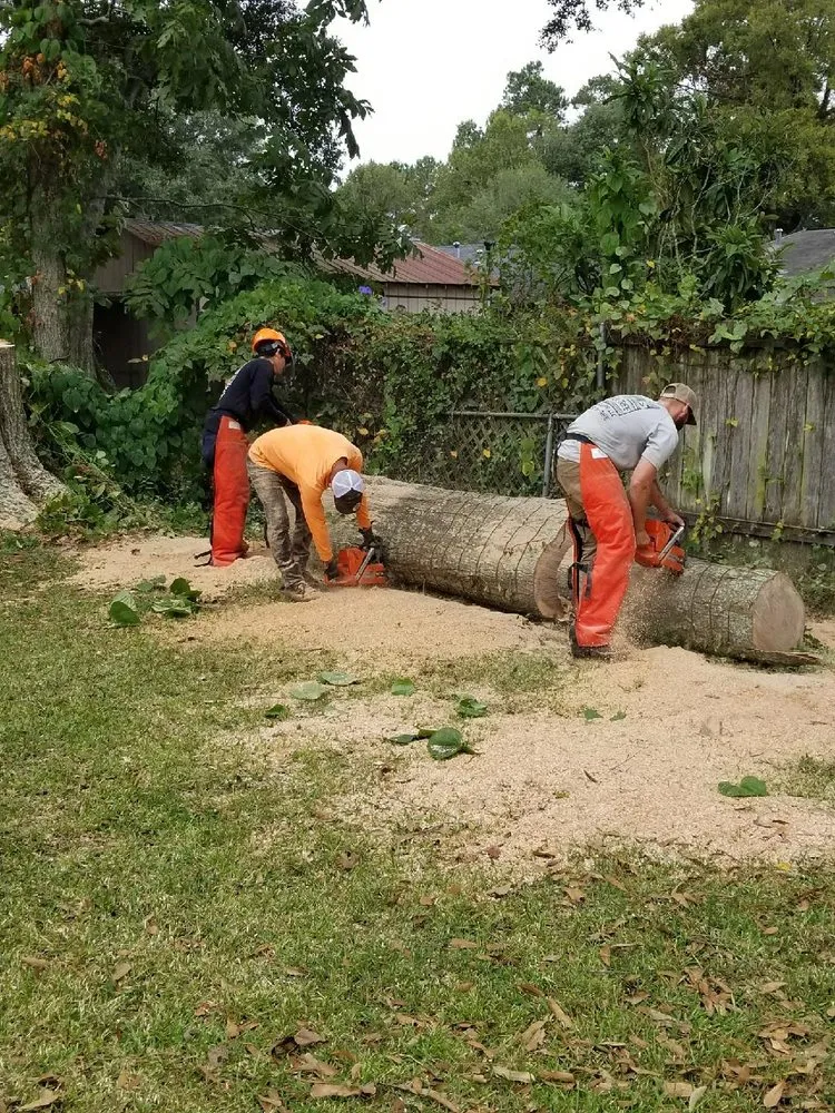 Professional yard maintenance in Greenwell Springs, LA - Blocker Tree & Landscape