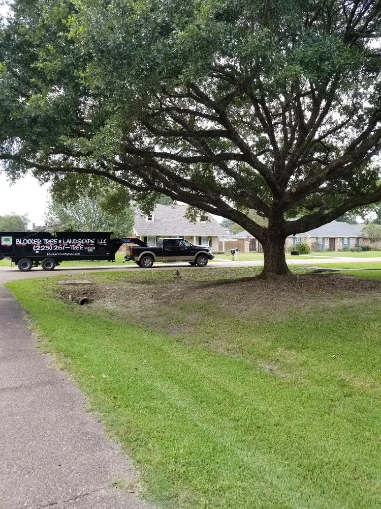 Professional garden landscaping in Greenwell Springs, LA - Blocker Tree & Landscape