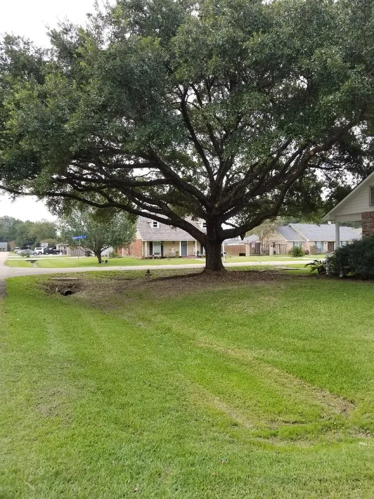 Local landscaping services experts serving Greenwell Springs, LA - Blocker Tree & Landscape