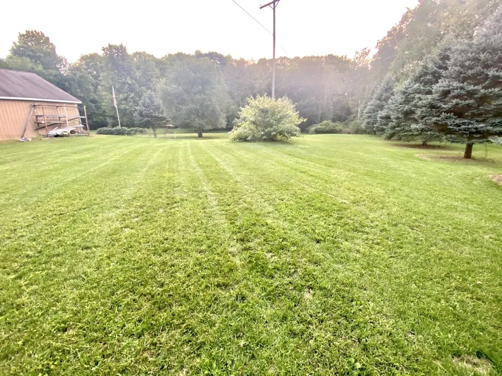 Professional yard cleanup service experts serving Saranac, MI - Blockhead Excavation and Landscaping