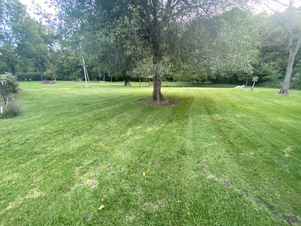 Reliable yard maintenance in Saranac, MI by Blockhead Excavation and Landscaping