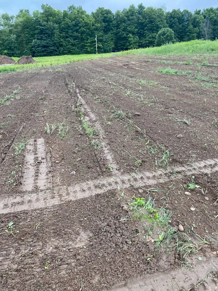 Top-rated landscaping services in Saranac, MI by Blockhead Excavation and Landscaping