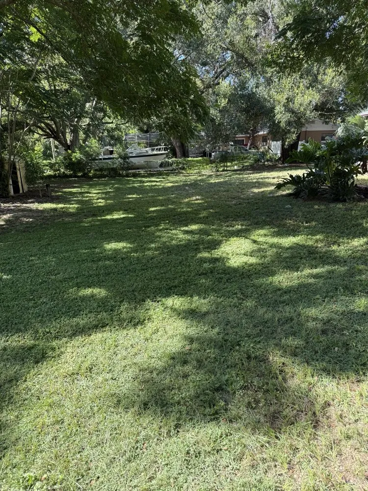 Expert lawn mowing service in Minneola, FL by Blocks Lawn Service