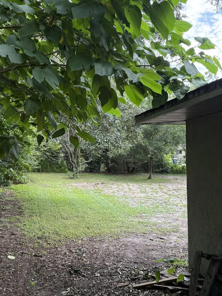 Affordable outdoor landscaping in Minneola, FL by Blocks Lawn Service