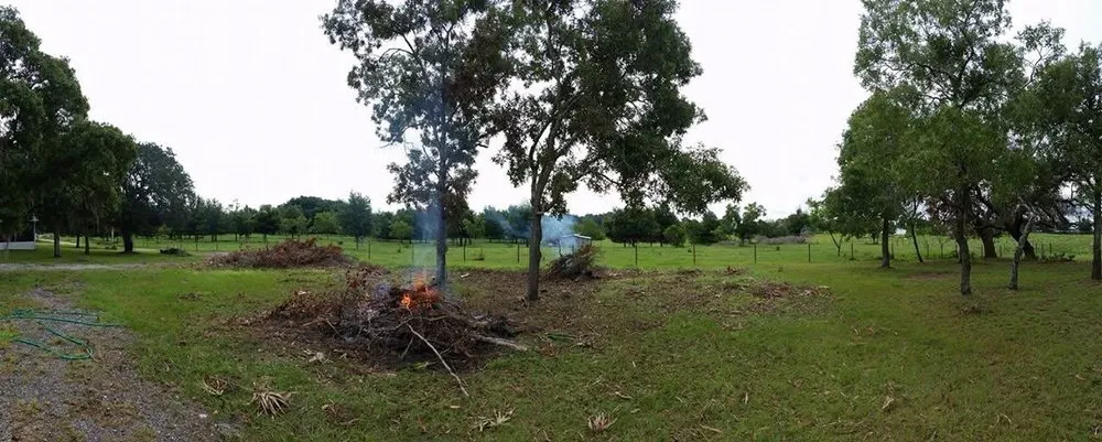 Reliable yard maintenance experts serving Minneola, FL - Blocks Lawn Service