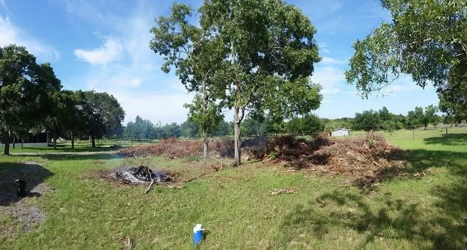 Professional landscape design experts serving Minneola, FL - Blocks Lawn Service