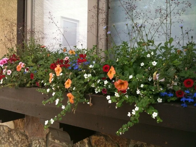 Custom outdoor landscaping in Denver, CO by Bloem Landscaping