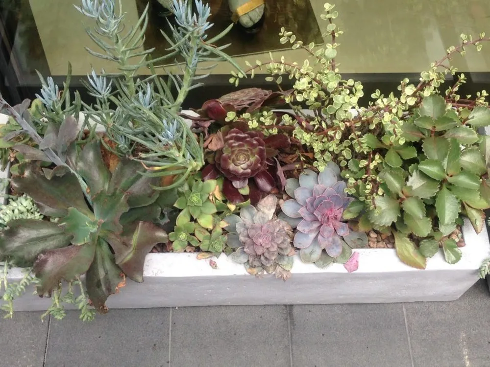 Reliable lawn care service in Denver, CO - Bloem Landscaping