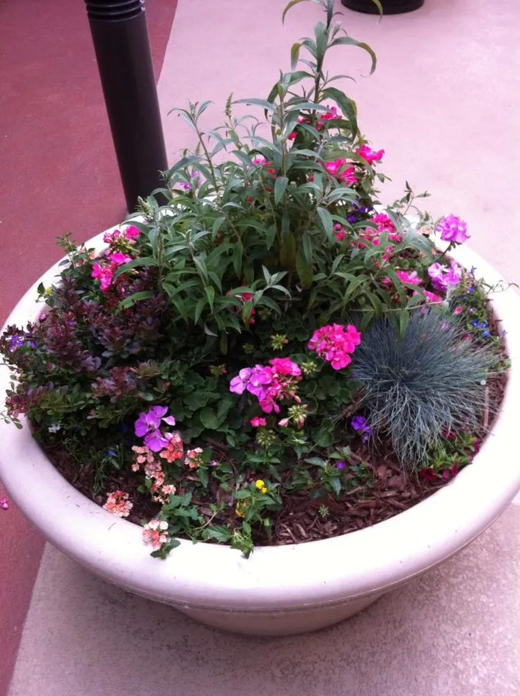 Expert landscape installation in Denver, CO - Bloem Landscaping