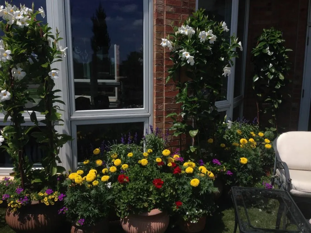 Top-rated outdoor landscaping in Denver, CO by Bloem Landscaping