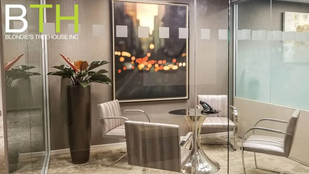 Reliable lawn care service for residential properties across New York, NY - Blondie's Treehouse