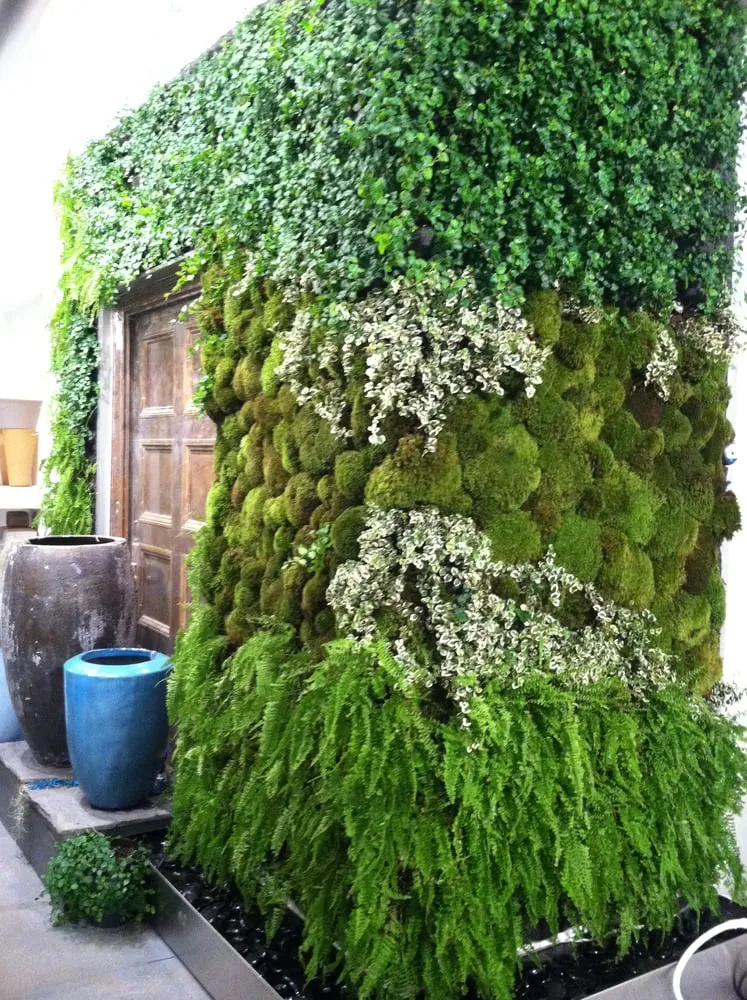 Top-rated lawn care service for beautiful yards across New York, NY - Blondie's Treehouse