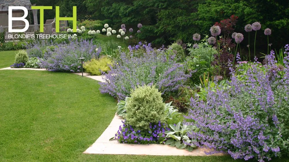 Affordable outdoor landscaping in New York, NY - Blondie's Treehouse