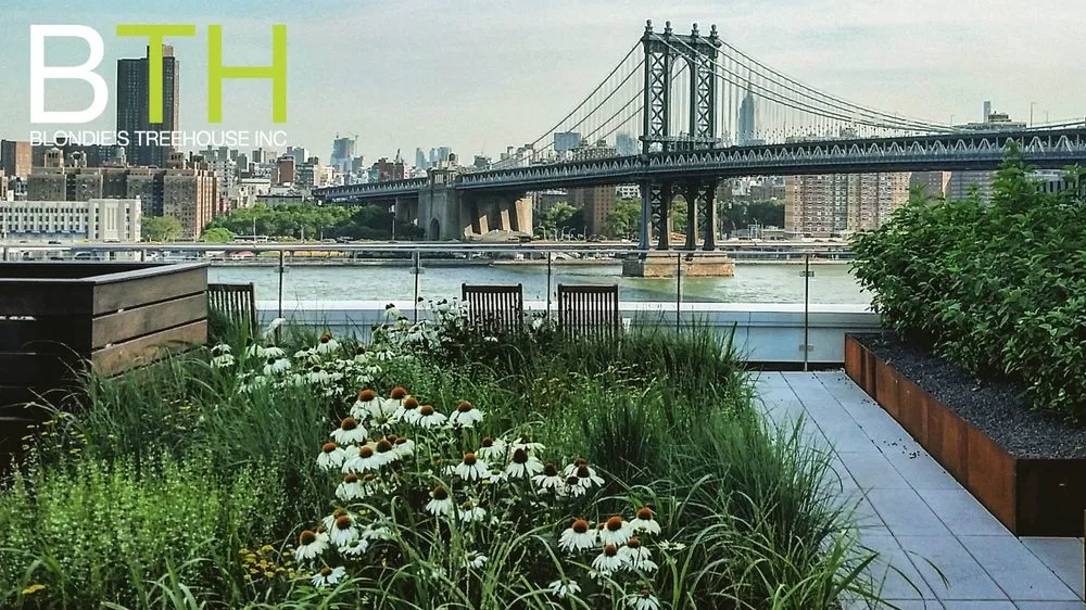 Trusted lawn mowing service for outdoor upgrades in New York, NY by Blondie's Treehouse