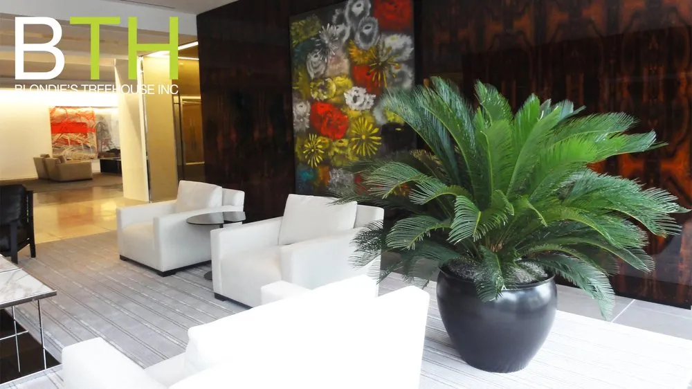 Professional garden landscaping in New York, NY - Blondie's Treehouse