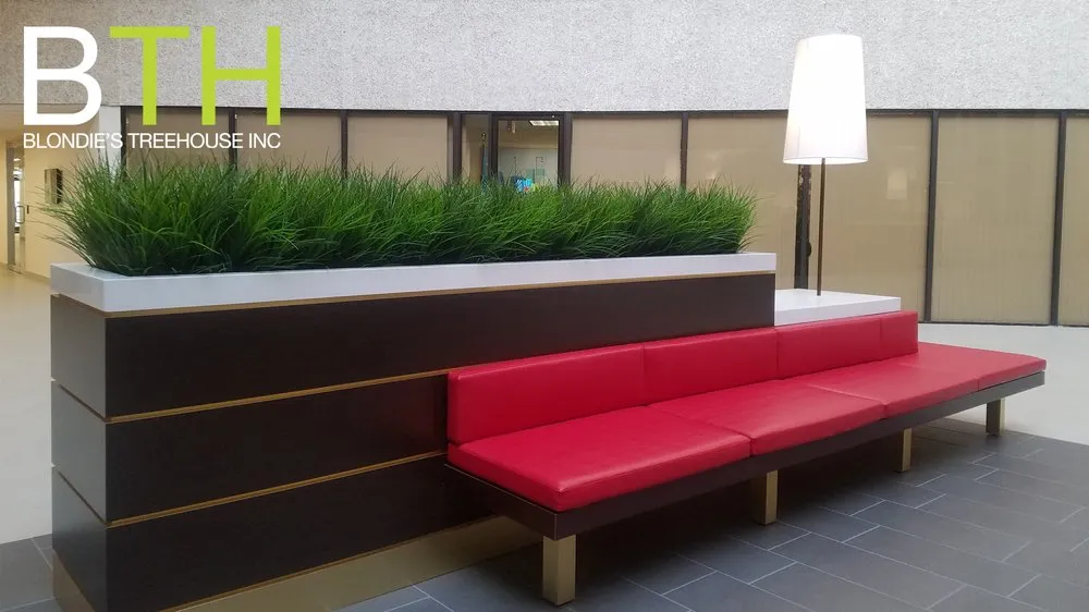 Reliable yard maintenance for year-round maintenance across New York, NY - Blondie's Treehouse