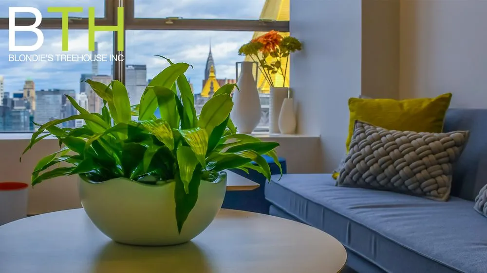 Expert landscape installation experts serving New York, NY - Blondie's Treehouse