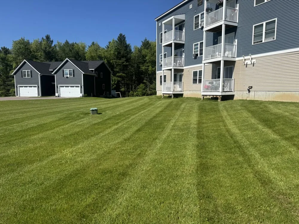 Professional yard cleanup service in Milton, VT - Blondin Property Maintenance