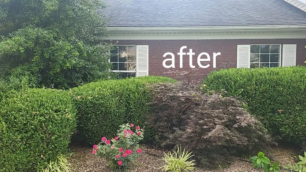 Top-rated garden landscaping for year-round maintenance across Taylorsville, KY - Bloodline Lawn Care