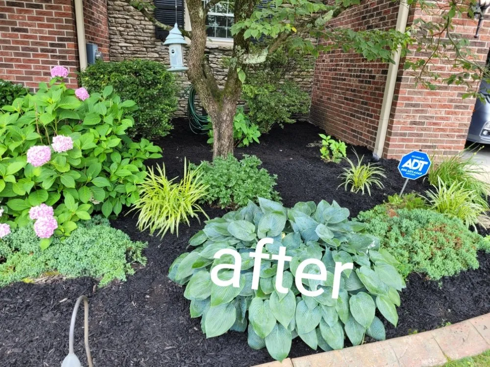 Expert residential landscaping in Taylorsville, KY - Bloodline Lawn Care