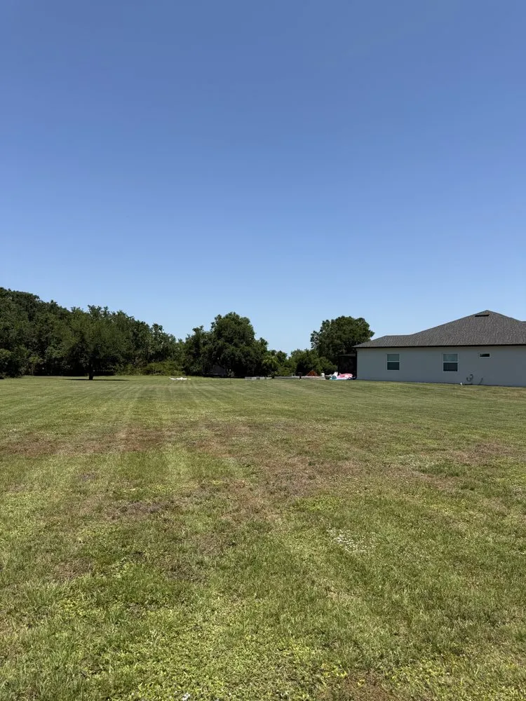 Affordable lawn mowing service in Lakeland, FL by Bloom & Blade Lawn Services