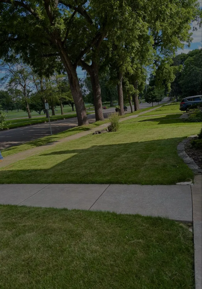 Local lawn care service for homes in Minneapolis, MN by Bloom & Blade