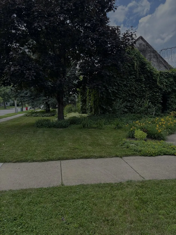 Reliable landscaping services for year-round maintenance in Minneapolis, MN by Bloom & Blade