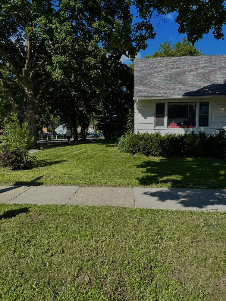 Professional landscape installation in Minneapolis, MN by Bloom & Blade