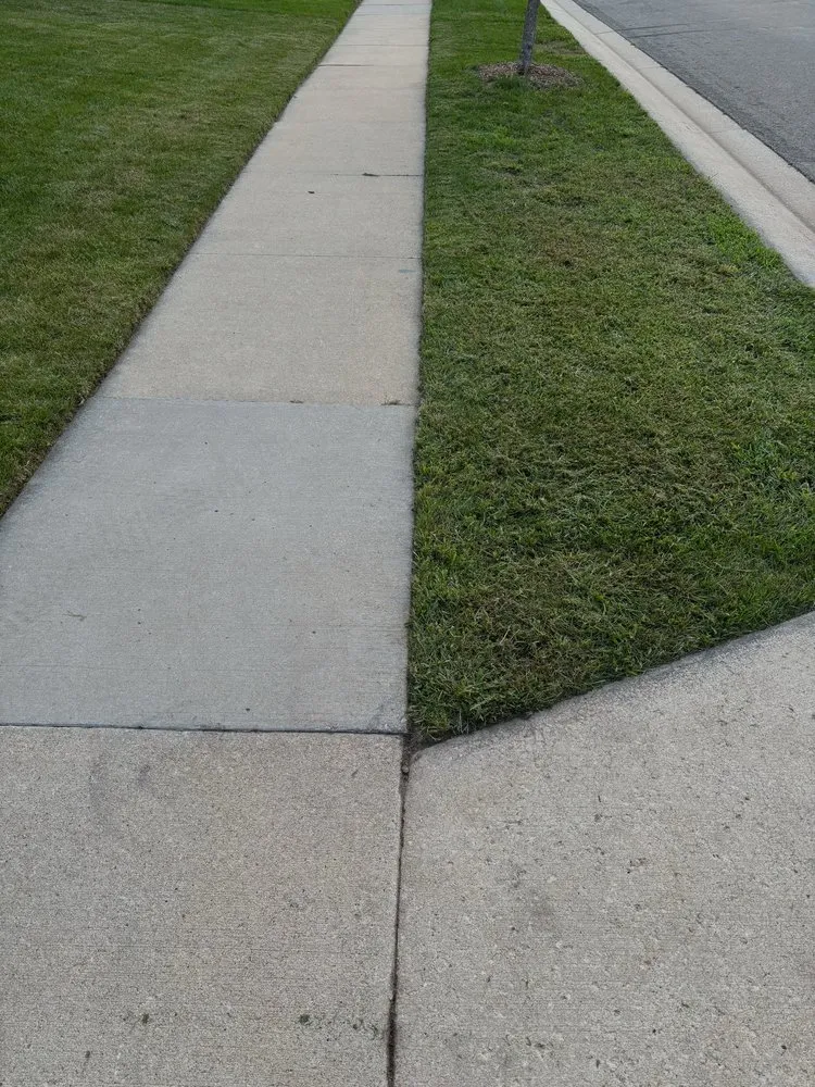 Top-rated landscaping services in Minneapolis, MN - Bloom & Blade