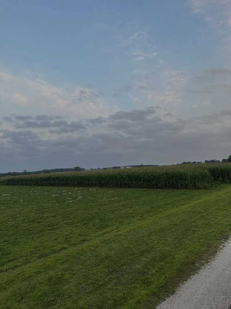 Reliable landscape installation in Minneapolis, MN by Bloom & Blade