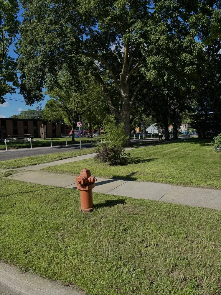 Top-rated garden landscaping near you across Minneapolis, MN - Bloom & Blade