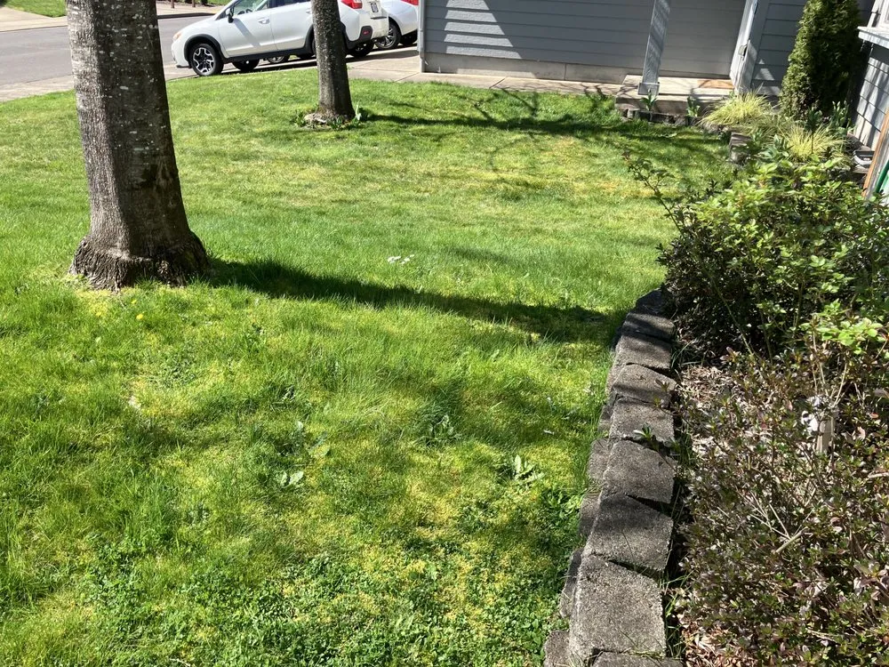 Reliable outdoor landscaping in Springfield, OR by Bloom & Blade