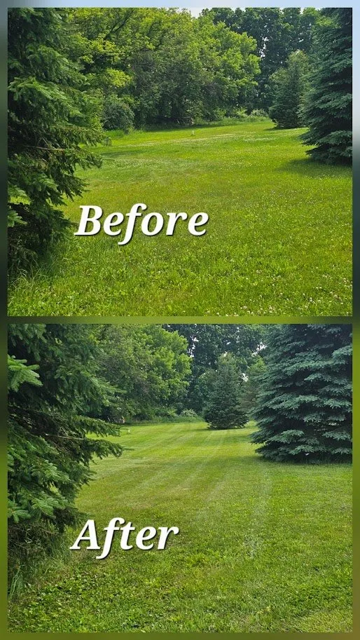 Affordable yard maintenance in Verona, WI - Bloom & Branch Landscaping