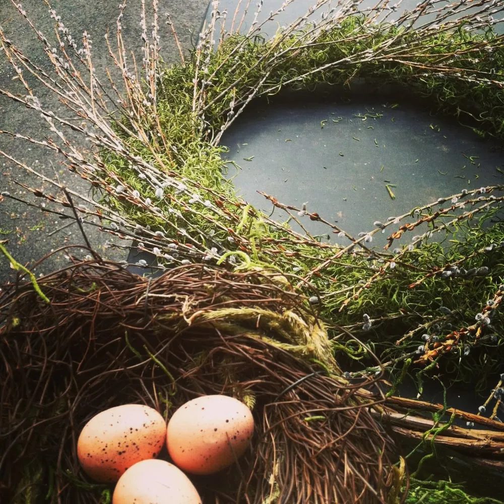 Expert landscape installation for outdoor upgrades in Wellesley, MA by Bloom & Twig Designs