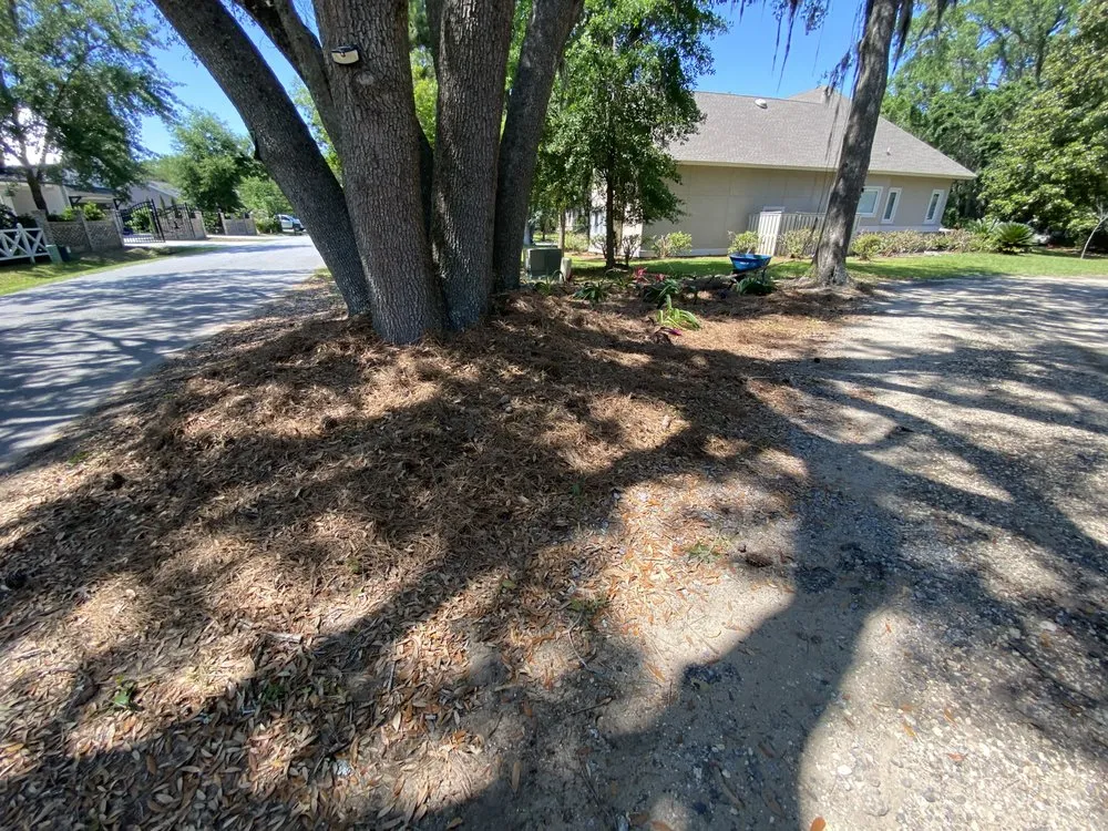 Top-rated outdoor landscaping experts serving Hilton Head Island, SC - Bloom And Blade Outdoors