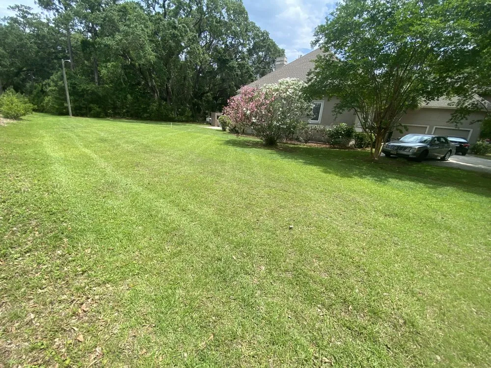 Local landscape design experts serving Hilton Head Island, SC - Bloom And Blade Outdoors