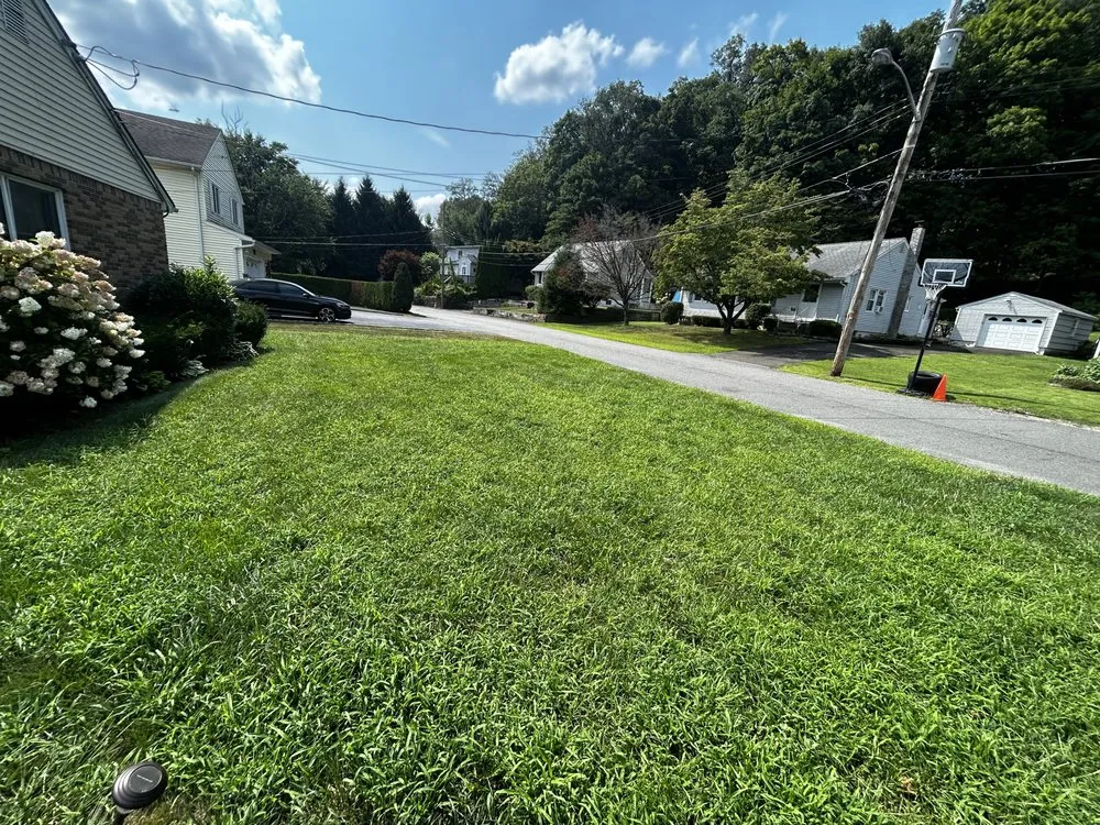 Trusted landscaping services in York, SC - Bloom And Grow Scapers