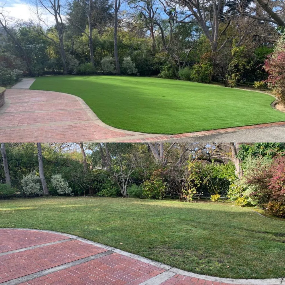 Reliable landscape installation for year-round maintenance across Hollister, CA - Bloom and Lawn Landscape